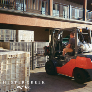 Harvest 2023 at Hester Creek Estate Winery