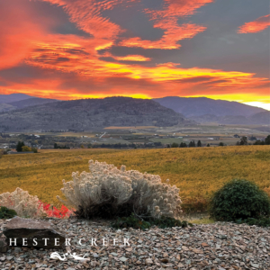 Sunrise from The Villa at Hester Creek