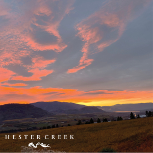 The Villa at Hester Creek