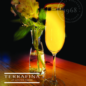 Mimosa at Terrafina
