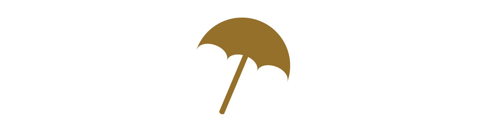 Umbrella Icon